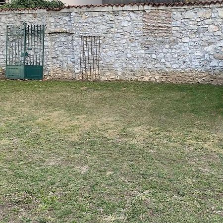 Casa Albatros Tra Lago E Monti 曼代洛-德尔拉里奥 外观 照片