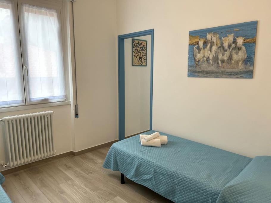 Casa Albatros Tra Lago E Monti 曼代洛-德尔拉里奥 外观 照片